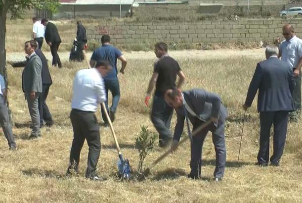 Binəqədi və Abşeronda genişmiqyaslı aksiya keçirilib