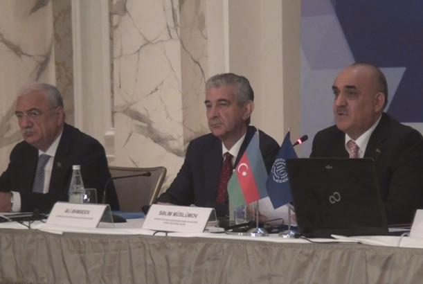 “Formal məşğulluq sosial hüquqların reallaşdırılmasının şərti kimi” mövzusunda konfrans