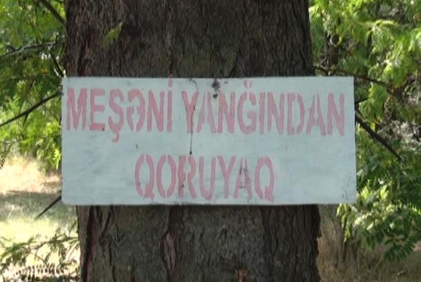 Meşələrimiz yanğından necə mühafizə olunur?