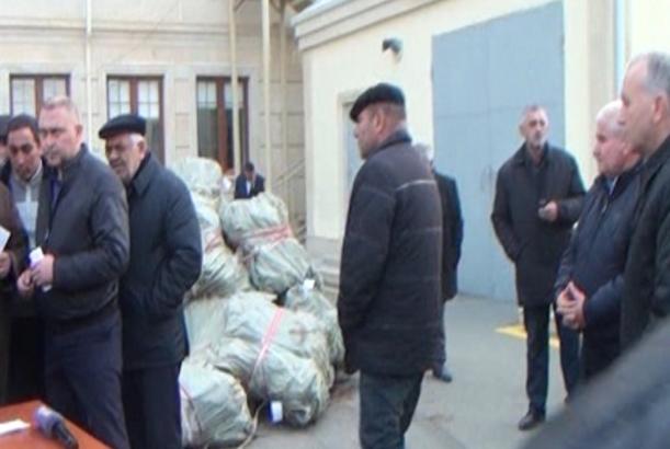 Çindən gətirilən 1 milyon tut tingi fermerlərə paylanılıb