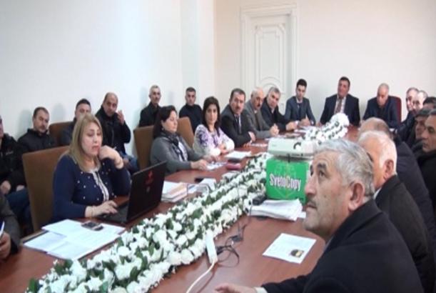 Arı və balıqlar xəstəliklərdən necə qorunmalıdır?