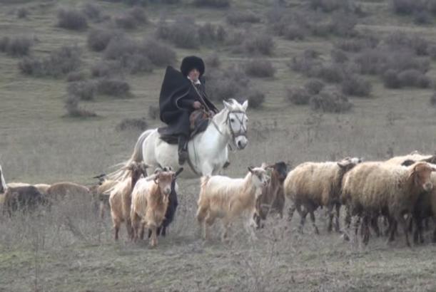 Tovuzun 91 yaşlı çobanı