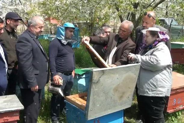 Astara arıçıları problemin həllini gözləyir
