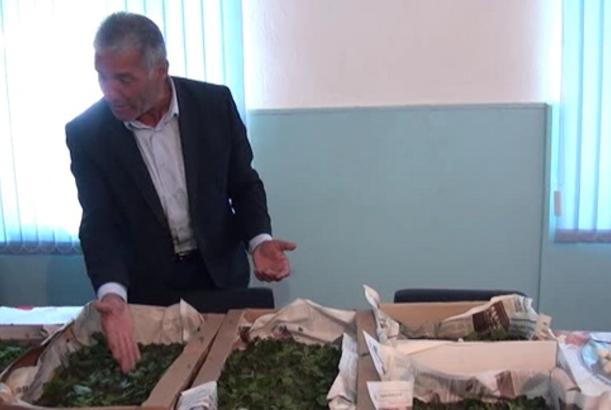 Görülən işlər İmişlidə baramaçılığın inkişafına təkan verəcək