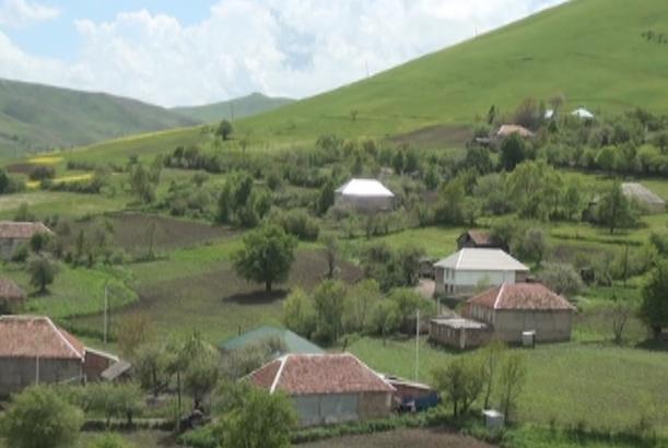 Tovuzun dağ kəndlərində sakinlər bu sahəyə üstünlük verirlər