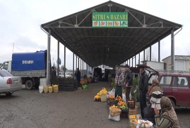 Ölkəmizdə ilk dəfə sitrus bazarı fəaliyyətə başlayıb