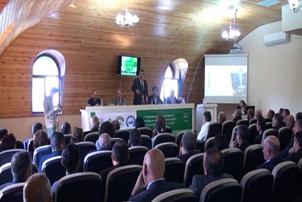 Türkiyəli mütəxəssislər qoyunçuluğun inkişaf istiqamətində fermerlərə seminar keçib
