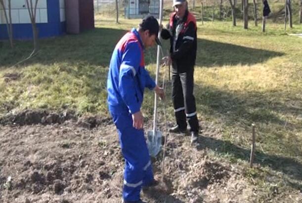 Şəki və Zaqatalada aksiya keçirilib