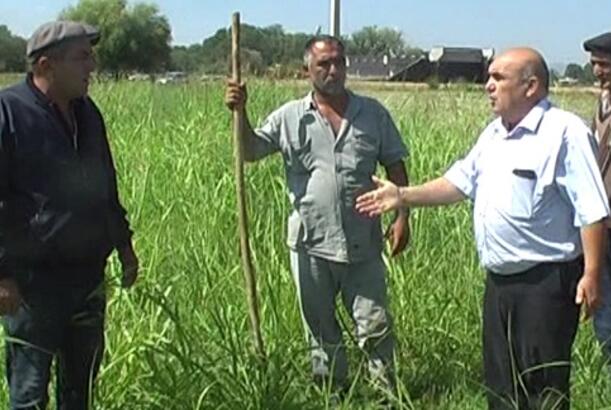 Ağstafanın su problemi: tərəflər bir-birini ittiham edir
