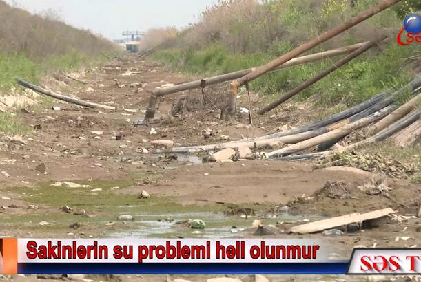 Cəlilabadda əkin sahələri niyə məhv olur?
