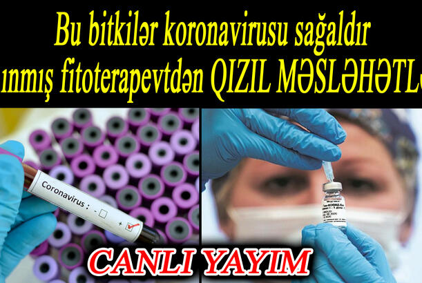 Bu bitkilər koronavirusu sağaldır – tanınmış fitoterapevtdən QIZIL MƏSLƏHƏTLƏR