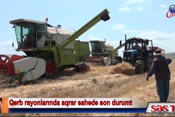 Qərb rayonlarında aqrar sahədə son durum