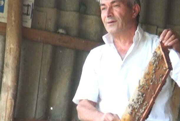Ən keyfiyyətli bal hansıdır?