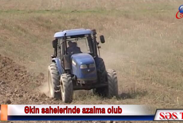 Tovuz bu sahədə geridə qaldı
