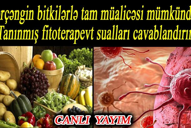 Xərçəngin bitkilərlə tam müalicəsi mümkündür? - Tanınmış fitoterapevt sualları cavablandırır