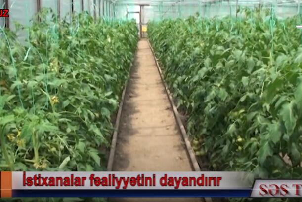 Tovuz sakinləri işsiz qalacaq