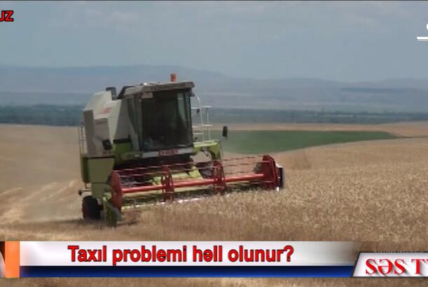 Taxıl problemi həll olunur?