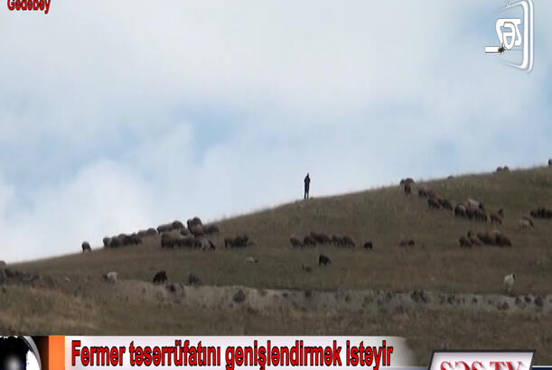 Bölgələrdəki fermerlərə kredit niyə verilmir?
