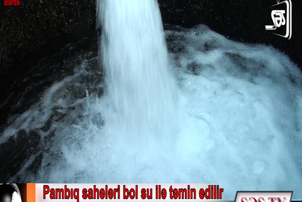 Bərdədə əkin sahələrinin suvarma suyu ilə təminatı necədir?