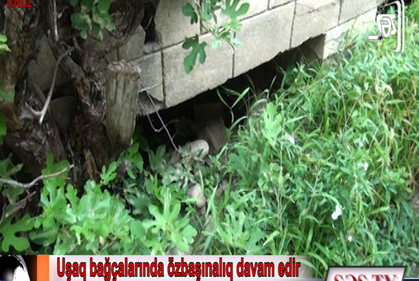 Tovuzun uşaq bağçalarında özbaşınalıq davam edir