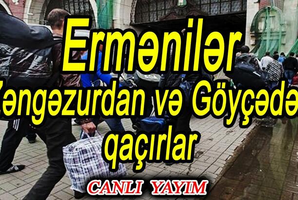 Ermənilər Zəngəzurdan və Göyçədən qaçırlar