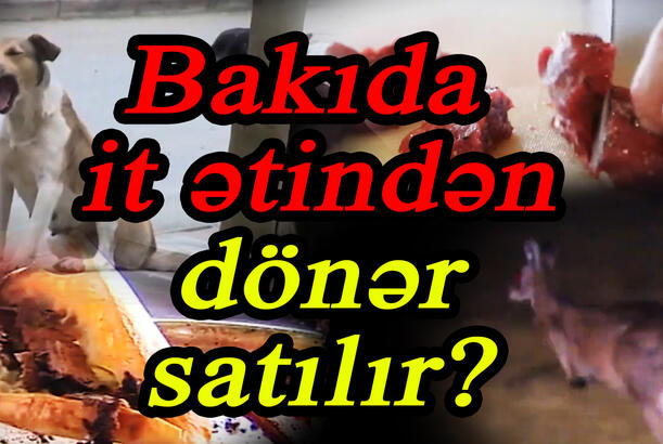 Bakıda it ətindən dönər satılır? - ARAŞDIRMA