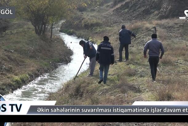 Göygöldə əkin sahələrinin suvarılması istiqamətində işlər davam etdirilir