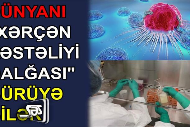 Dünyanı "xərçəng xəstəliyi dalğası" bürüyə bilər