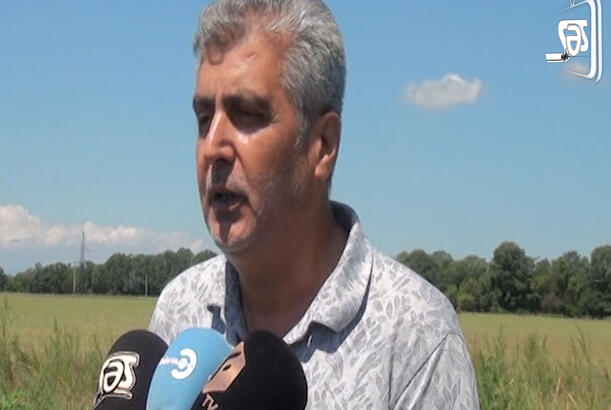 Tovuzda sahibkara iş görməyə imkan vermirlər – ŞİKAYƏT