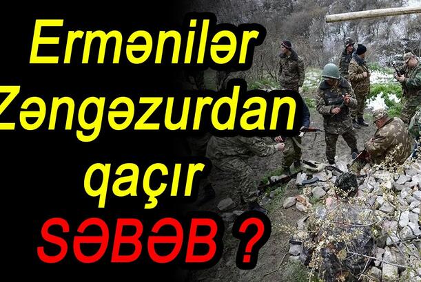 Ermənilər Zəngəzurdan qaçır - SƏBƏB?