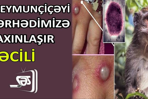 Meymunçiçəyi sərhədimizə yaxınlaşır
