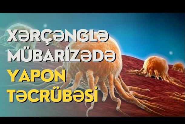 Xərçənglə mübarizədə Yapon təcrübəsi