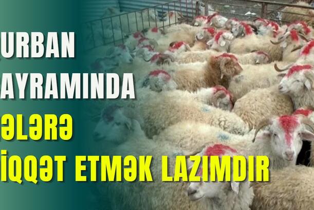 Qurban bayramında nələrə diqqət etmək lazımdır