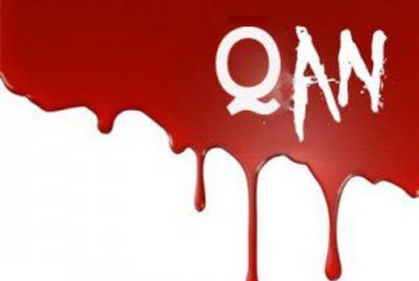 Qanımızın səsi