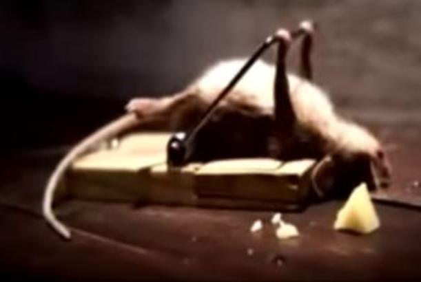 Dünyanın ən maraqlı reklamı