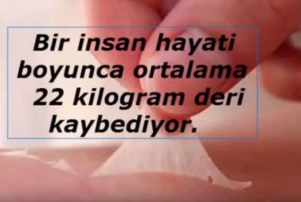 Dünyanın ən maraqlı faktları