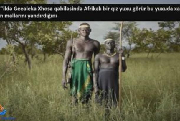 Dünyanın ən qəribə 10 ölüm hadisəsi