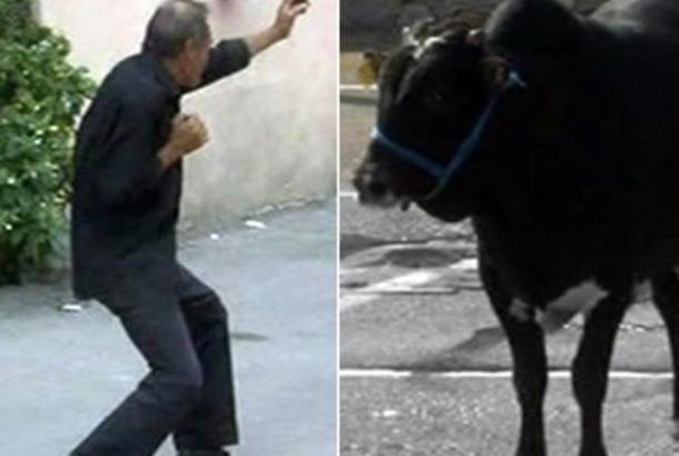 Qurban bayramı "klassikləri"