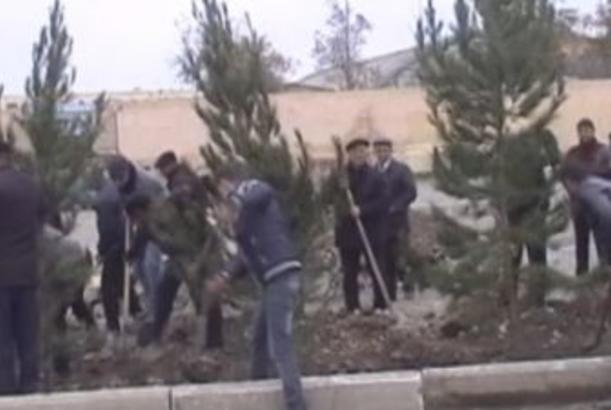 Bərdədə təmizlik aylığı davam edir