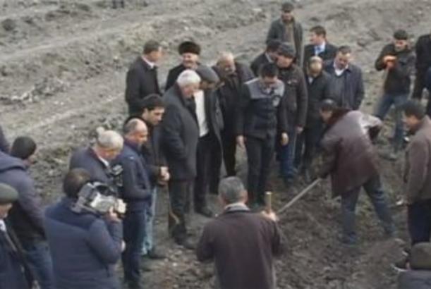 Çindən gətirilən tut tinglərinin əkininə başlanılıb