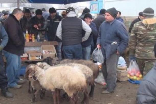 Qazağın mal bazarında özbaşınalıq