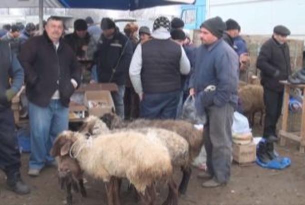 Qazağın mal bazarındakı problem öz həllini tapdı