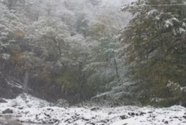 Aprel ayında Lerikə qar yağdı