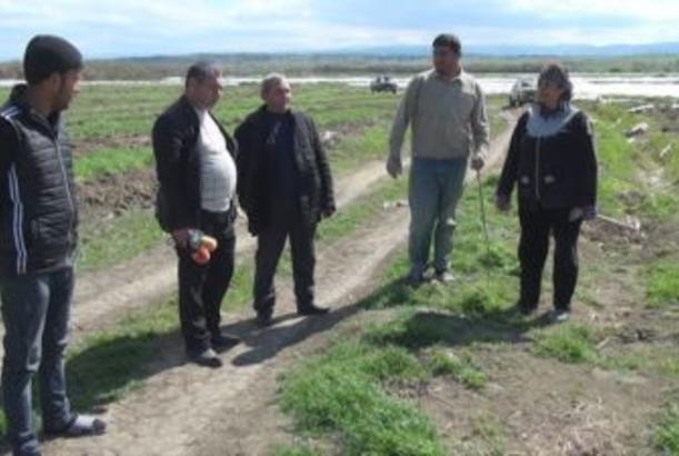 Kəndlilər becərdikləri məhsullarını sata bilmirlər